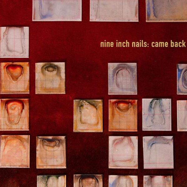 came back haunted - nine inch nails